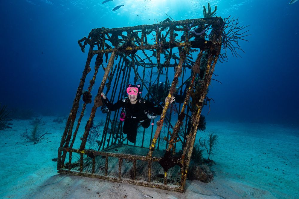 The Cry the Ocean Keeps