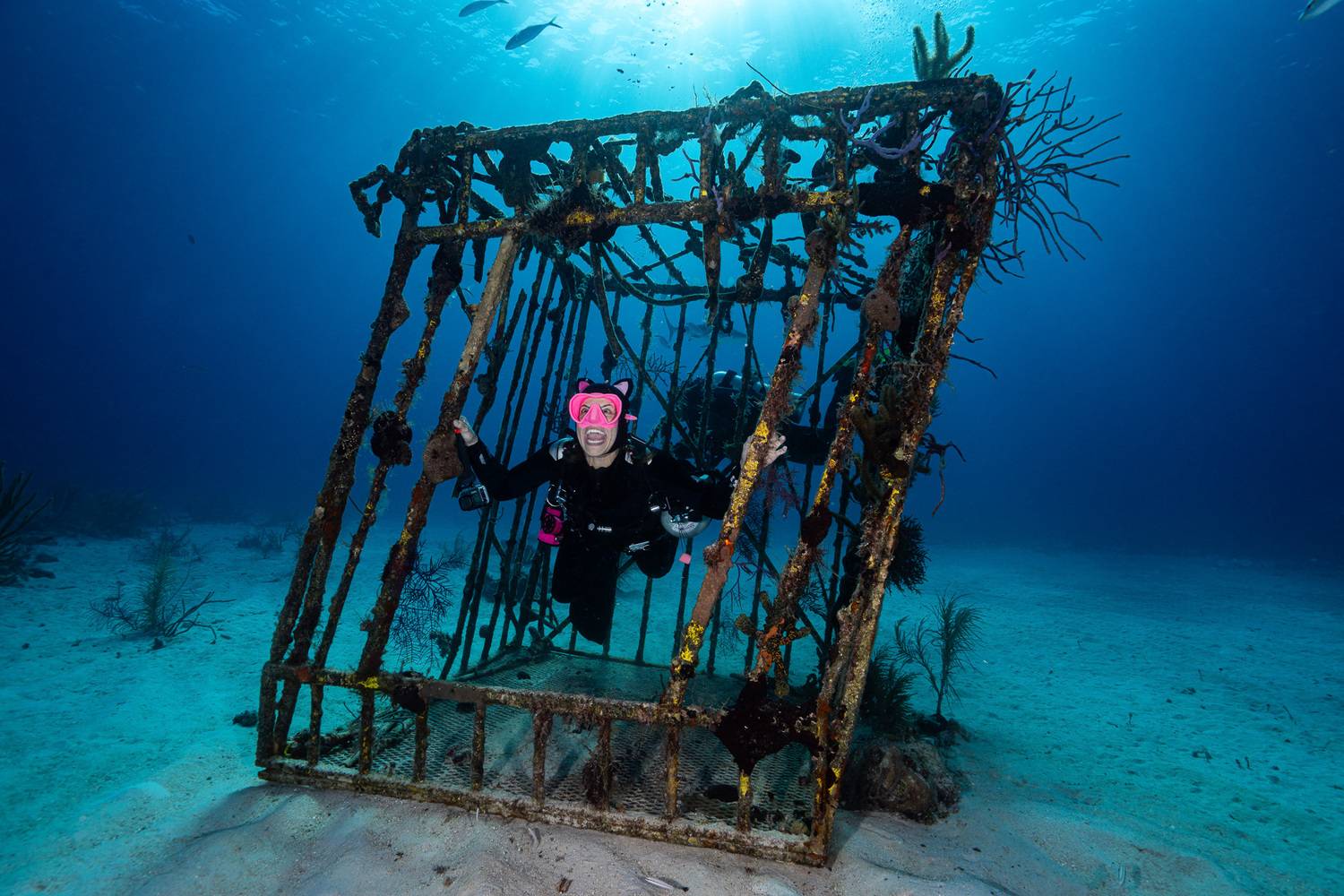 The Cry the Ocean Keeps