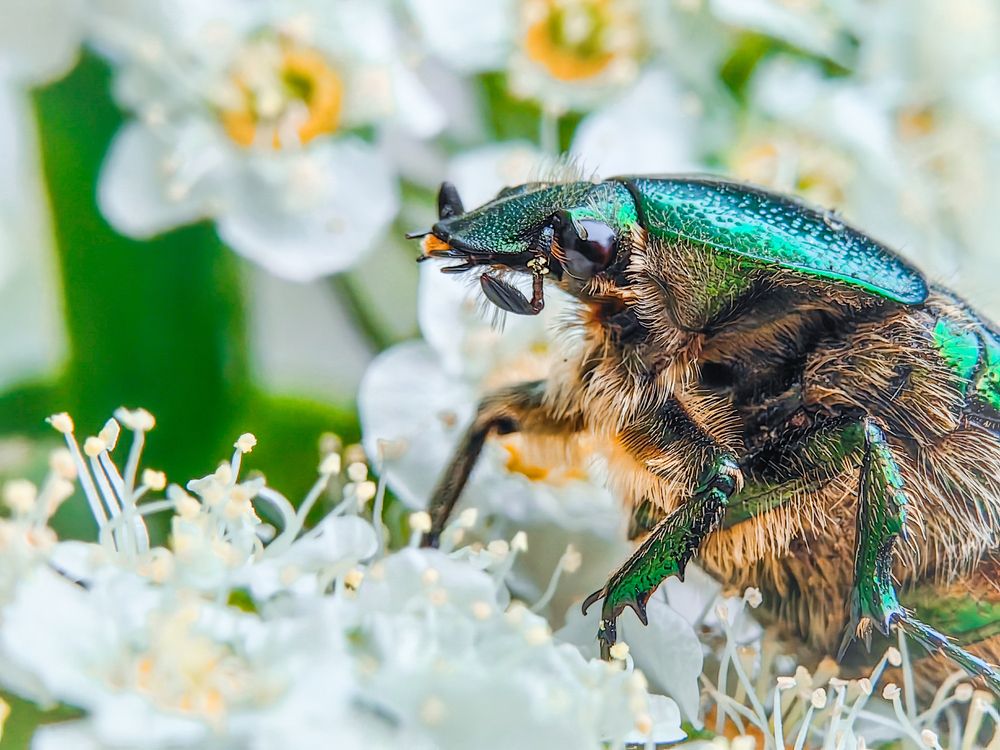 Photograph by Елена Макеева