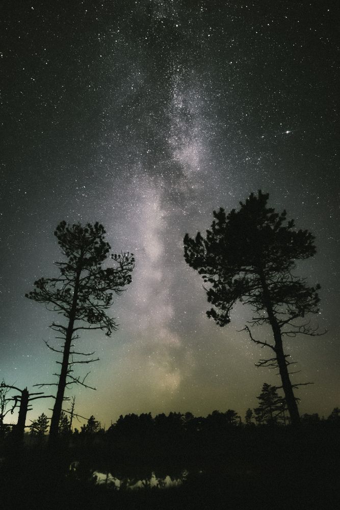 Photograph by Ольга Леонова