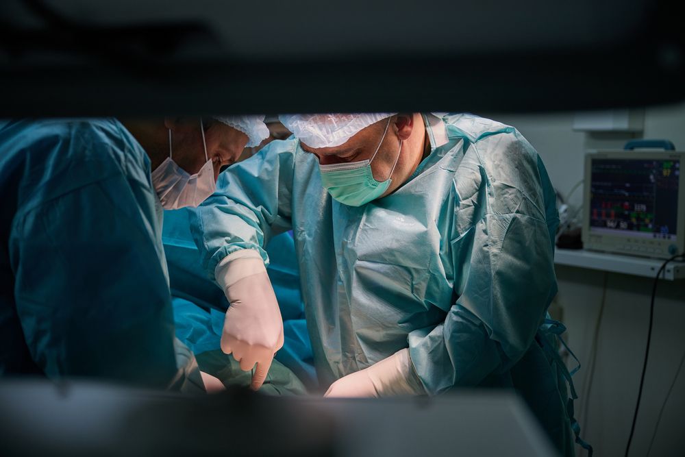 Фотография автора Roman Adler