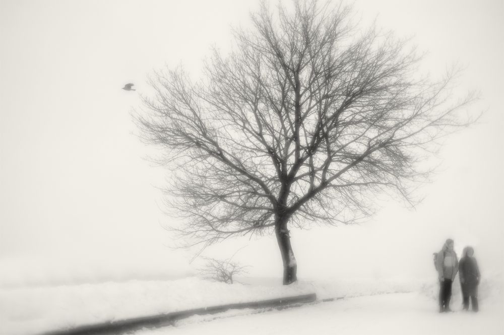 Photograph by Владимир