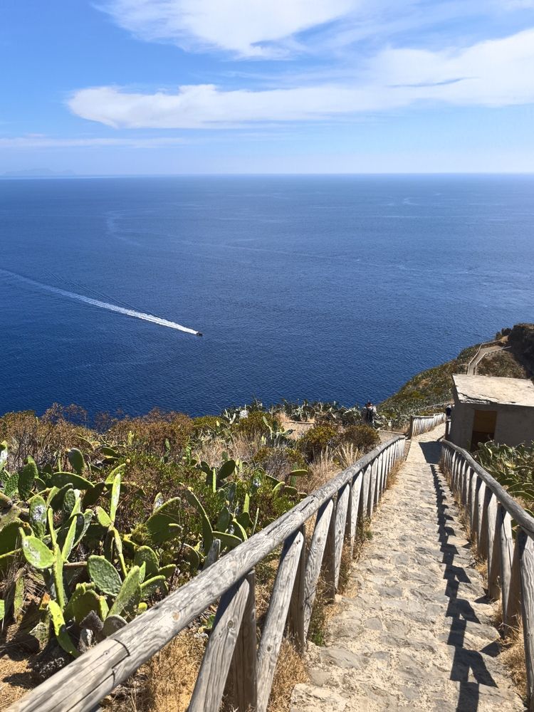 Фотография автора Marina Avdeeva