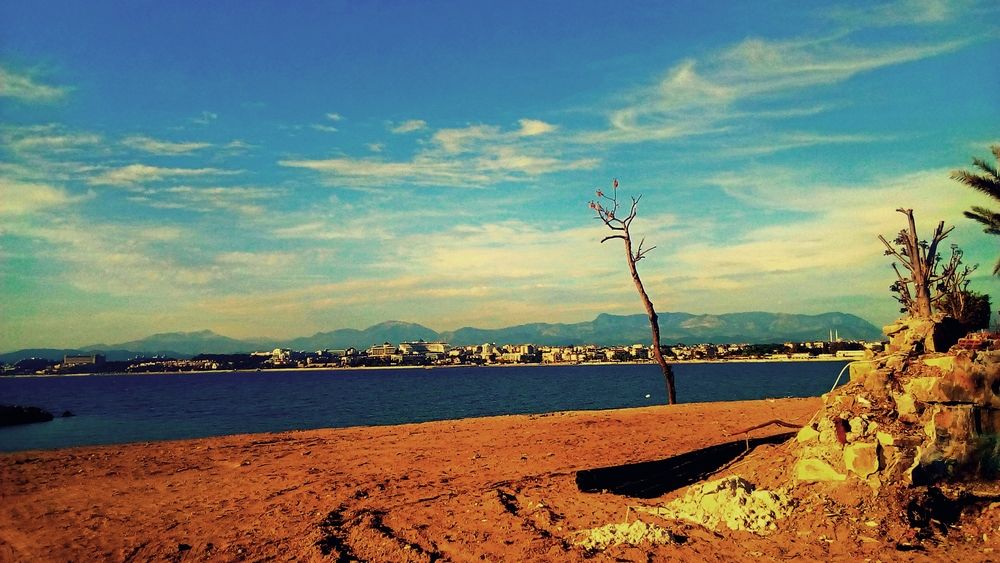 Photograph by Карина Плахова