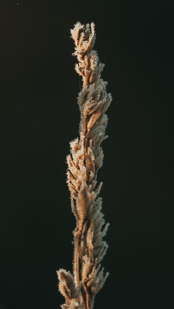 Photograph by Евгений Краснов
