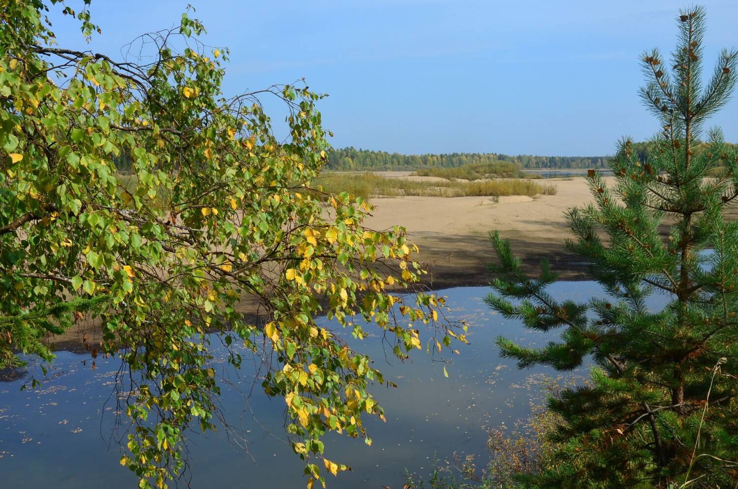 Фотография #13383781