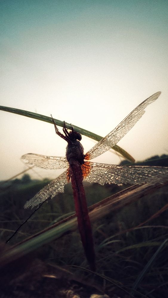 Photograph by Shivam Singh