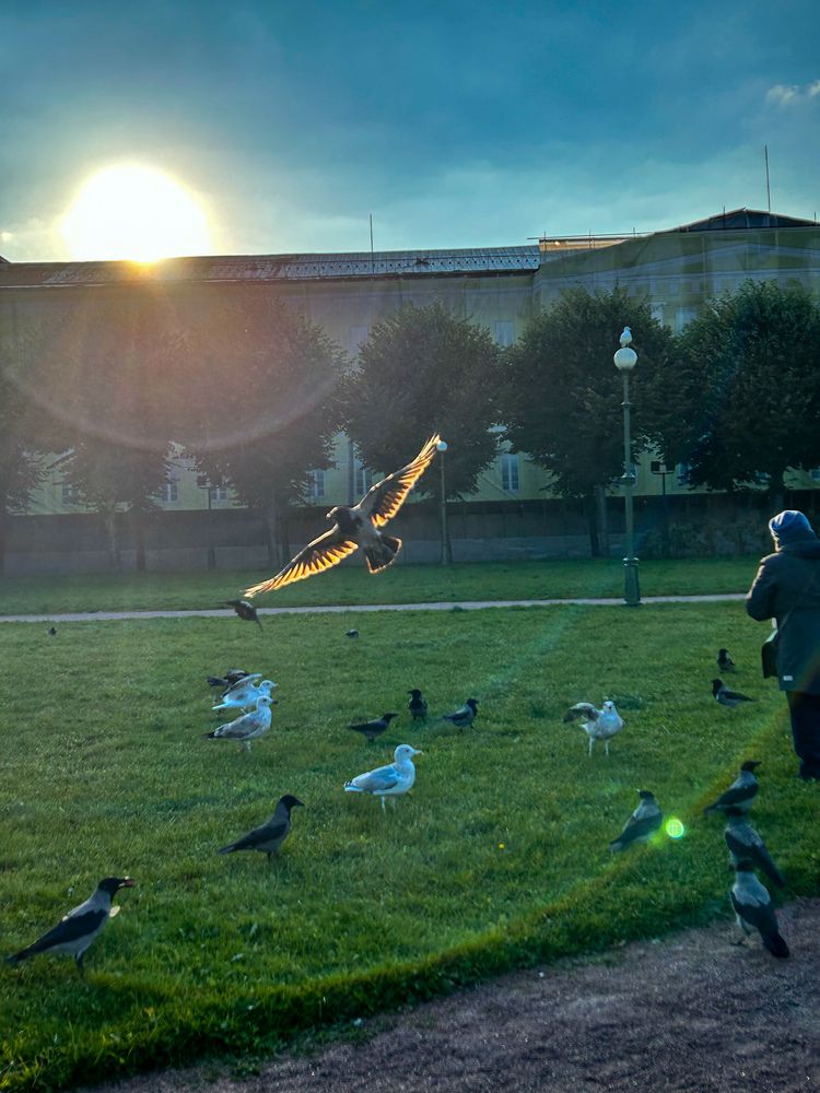 Photograph by Татьяна Шмакова