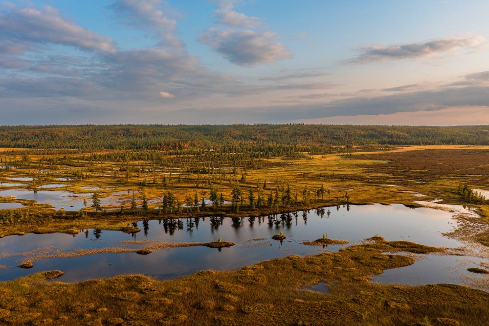 Ямальская осень