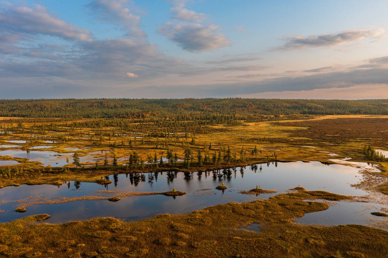 Ямальская осень
