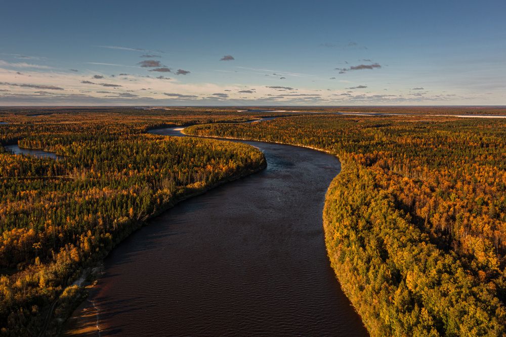 Ты неси меня река