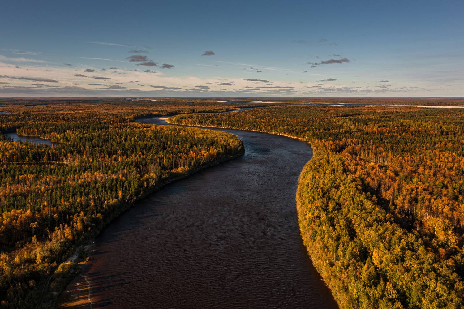 Ты неси меня река
