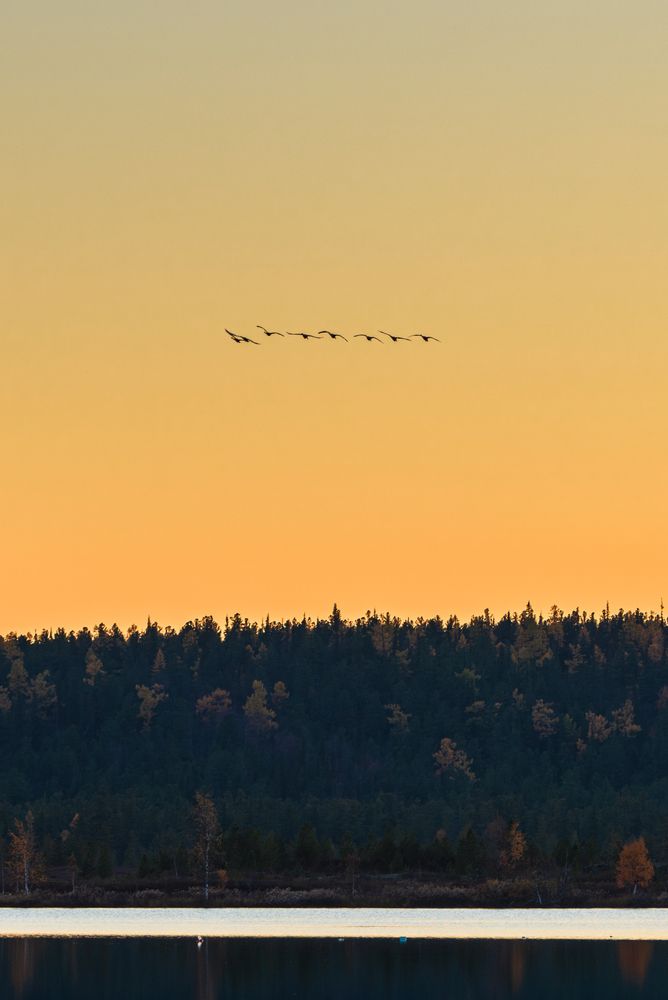 Боевой разворот