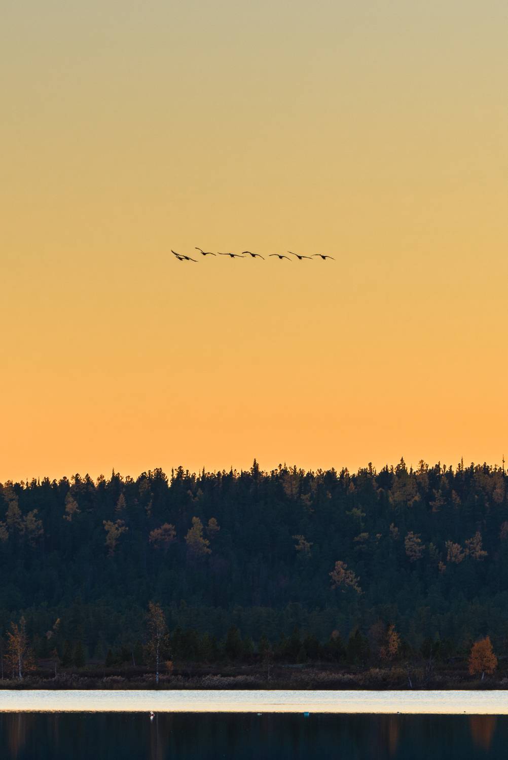 Боевой разворот