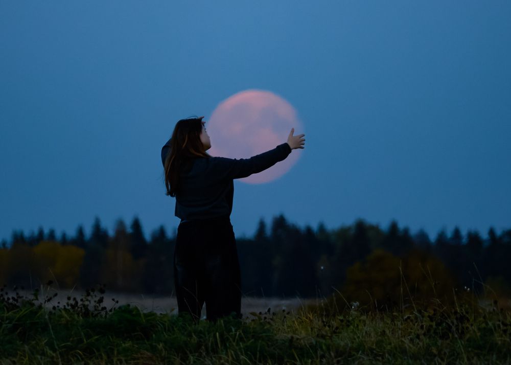 Photograph by Анастасия Алтабаева