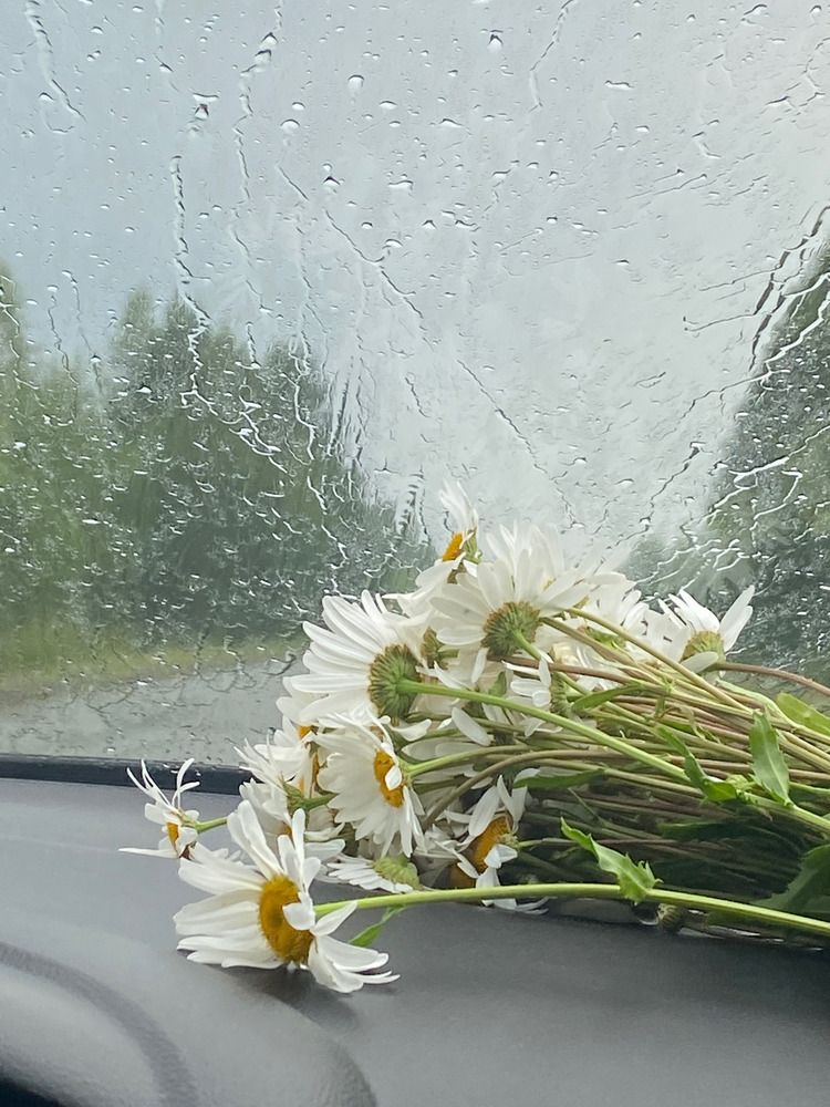 Photograph by Анастасия Владимировна
