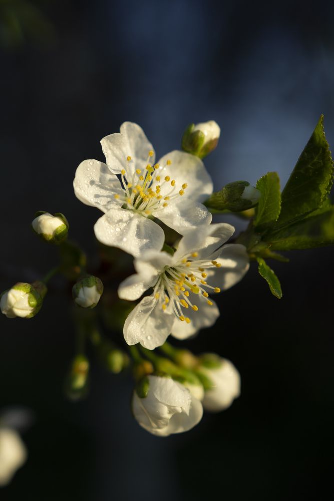 Photograph by Екатерина Великанова