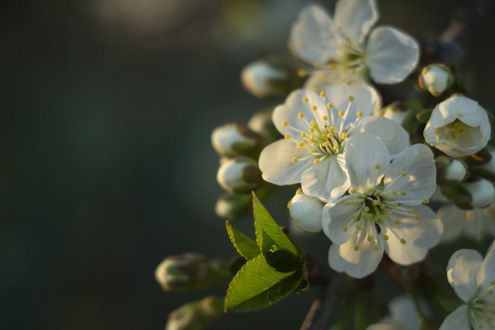 Photograph by Екатерина Великанова