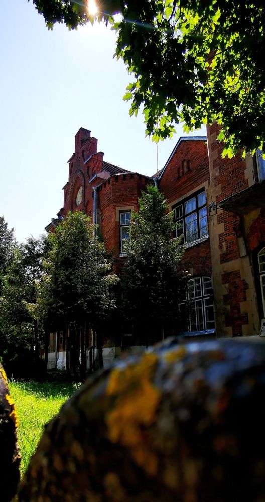 Photograph by Маргарита Ковалёва