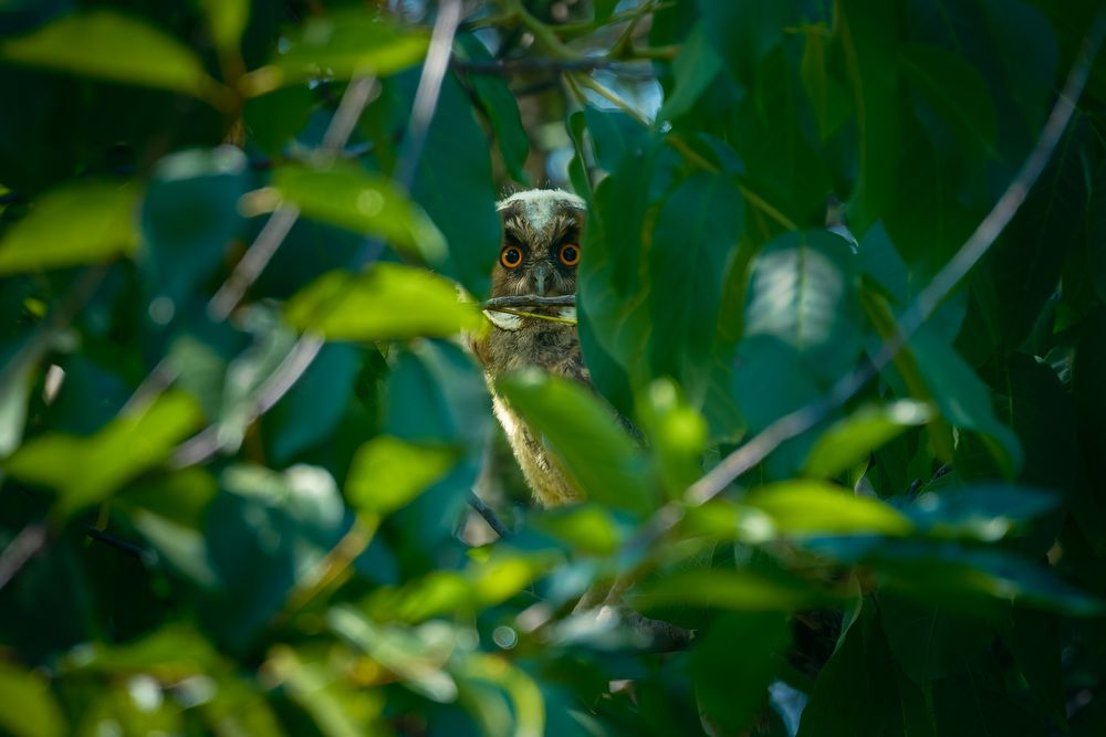Photograph by Stanislav Volkov