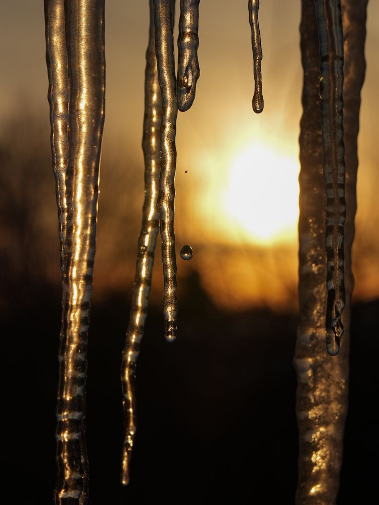 Photograph by Юлия Медведева