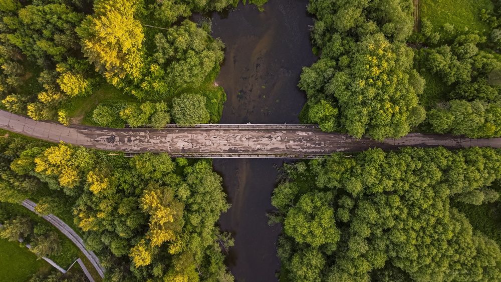 Photograph by Игорь Скорняков