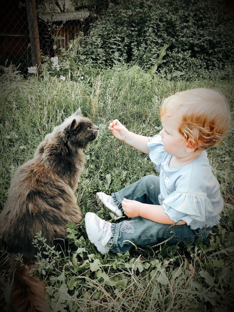 Photograph by Ирина Сыровежкина