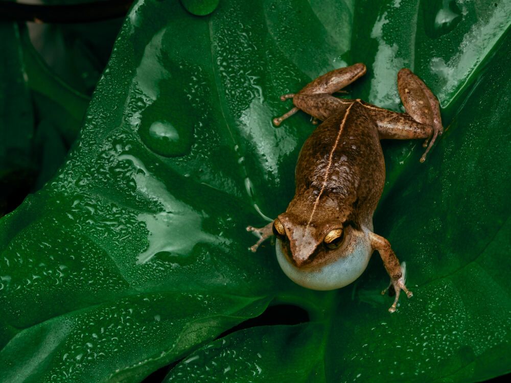 Photograph by Vladimir Cecile