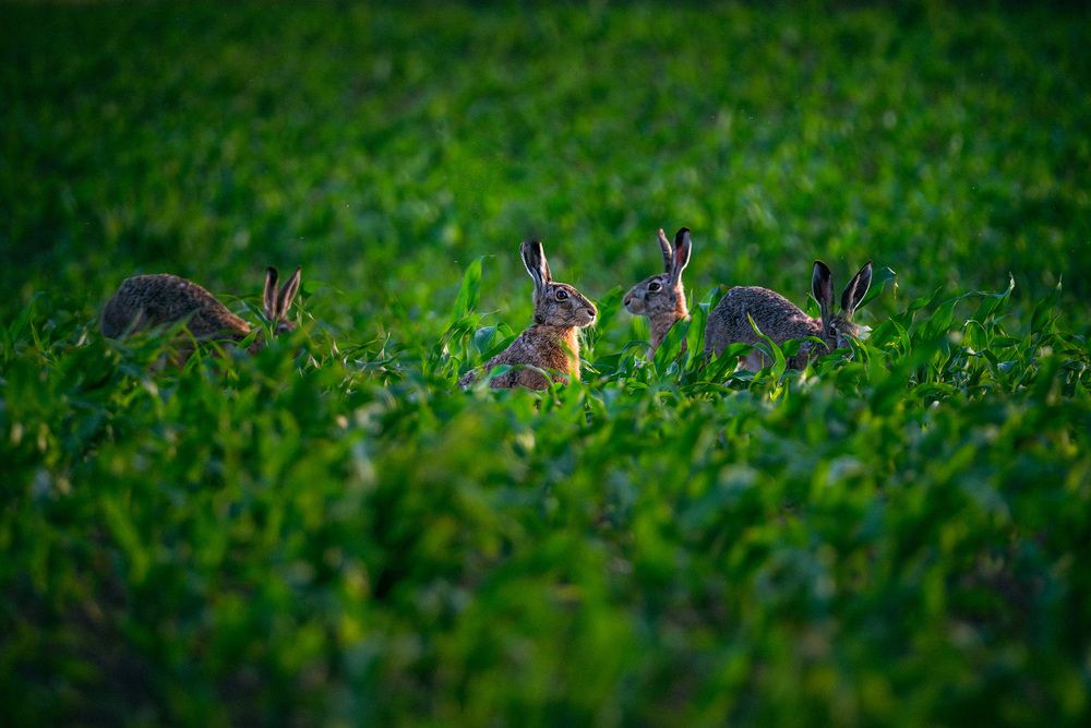 Photograph by Stanislav Volkov
