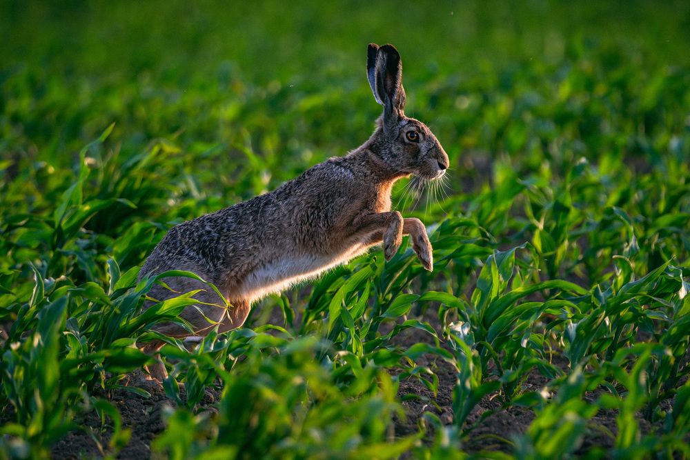 Photograph by Stanislav Volkov