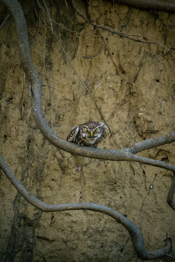 Photograph by Stanislav Volkov