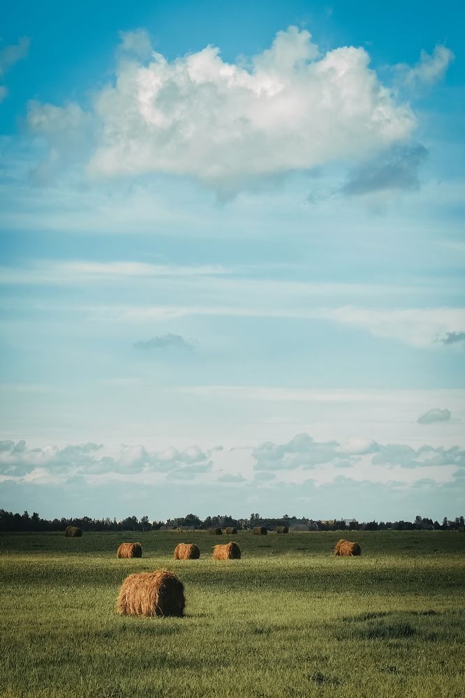 Photograph by Илья Гунбин