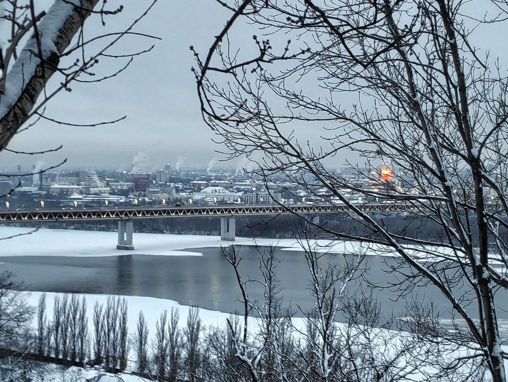 Фотография автора Юлия Поликарпова