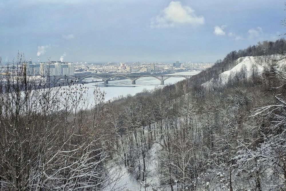Фотография автора Юлия Поликарпова