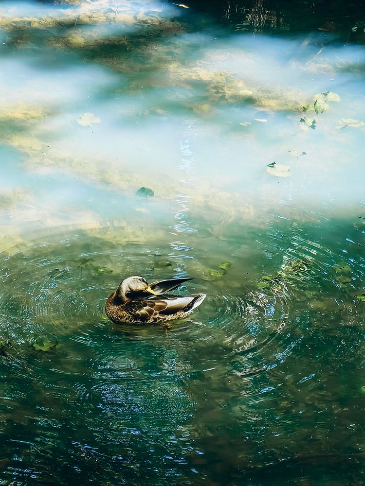 Photograph by Илья Гунбин