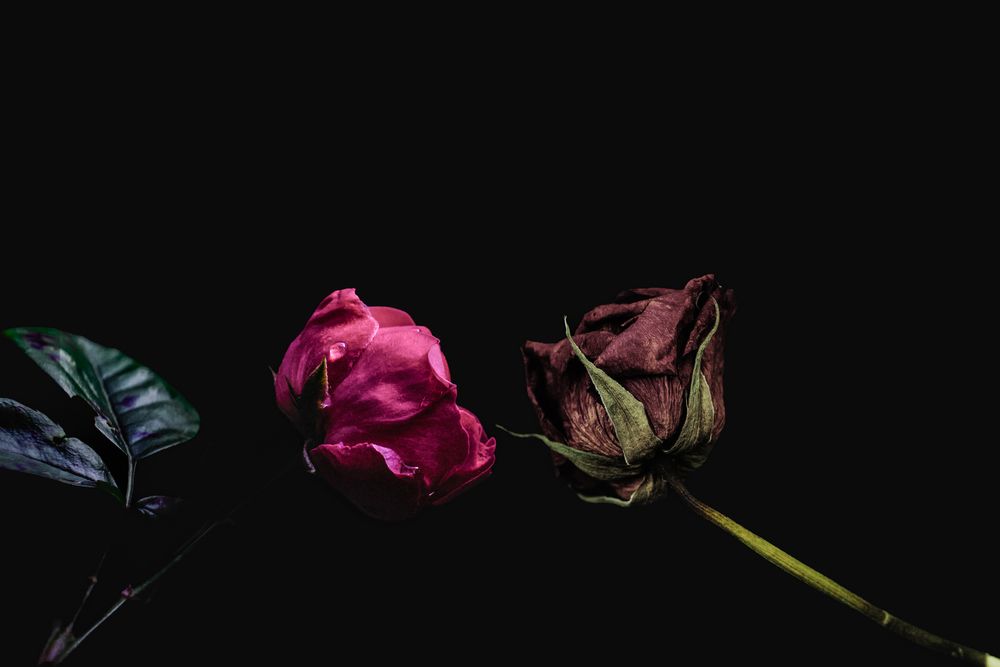 Photograph by KOTBE AYUMU