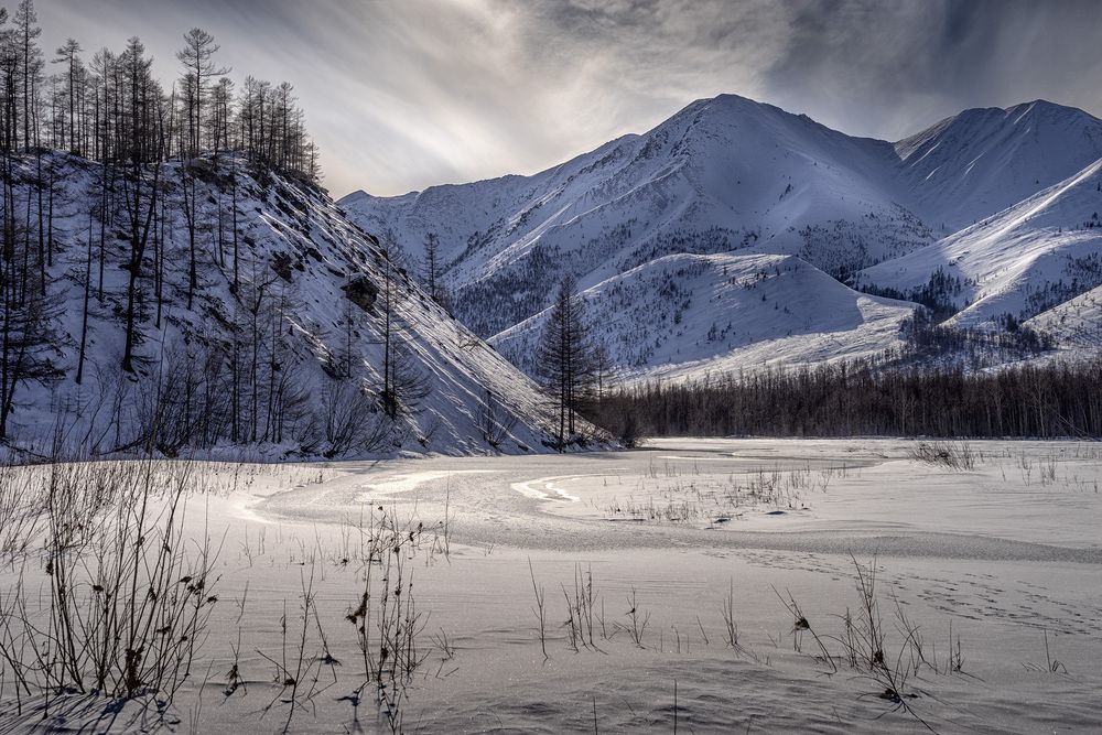 Photograph by Светлана Гореликова