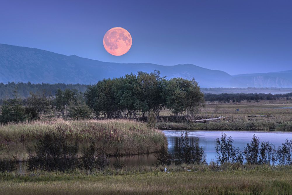 Photograph by Светлана Гореликова