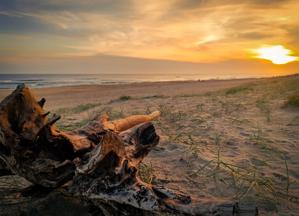 Photograph by Diego Lapasta