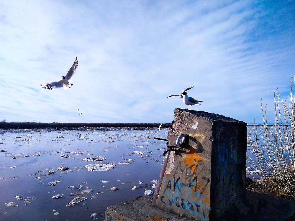 Photograph by Евгения Роде