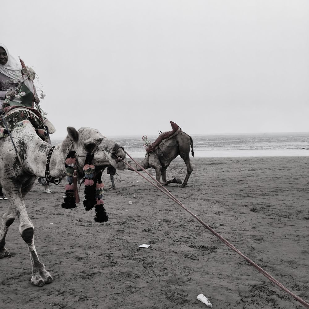 Photograph by Aakash Sankhla