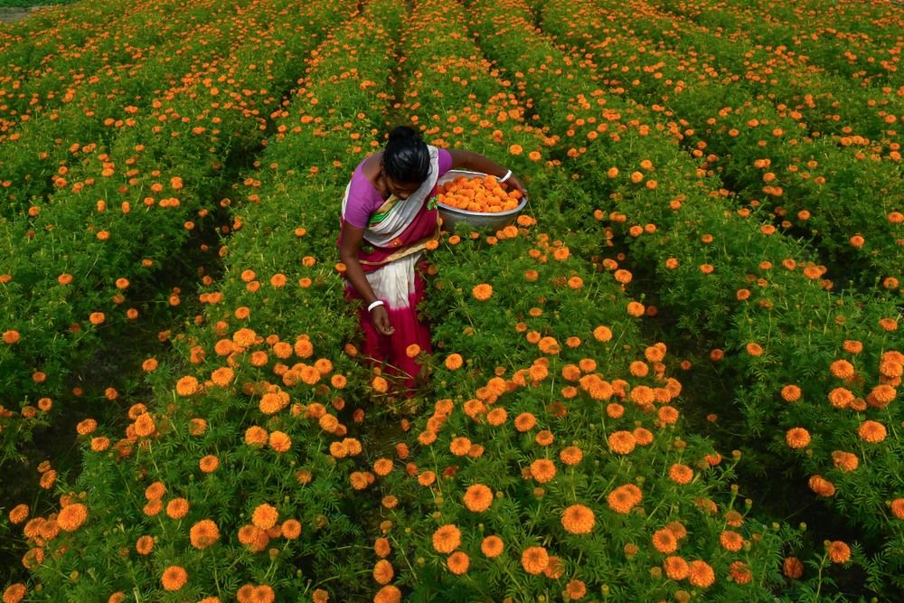 Photograph by Sahisnu Saha