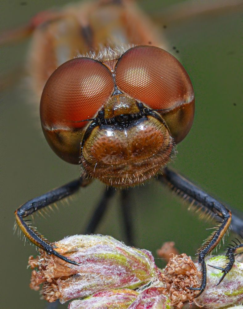 Photograph by Kasun Wickramasinghe