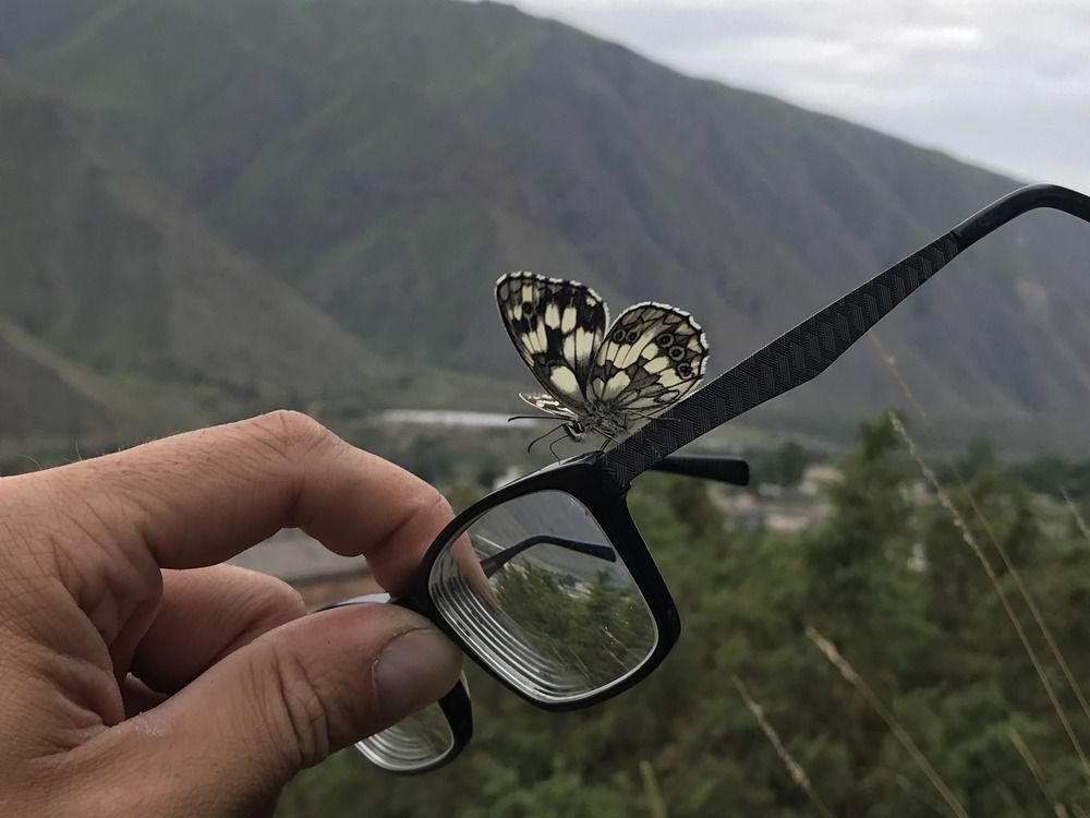 Фотография автора Карпович Максим
