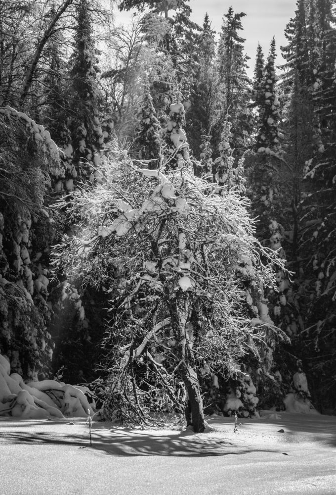 Photograph by Света Назарова