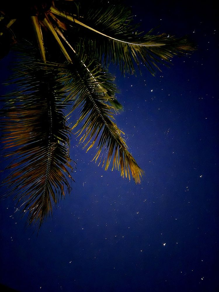 Photograph by Juliana