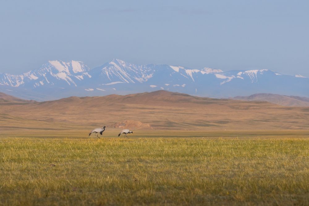 Photograph by Антон Лабачоў