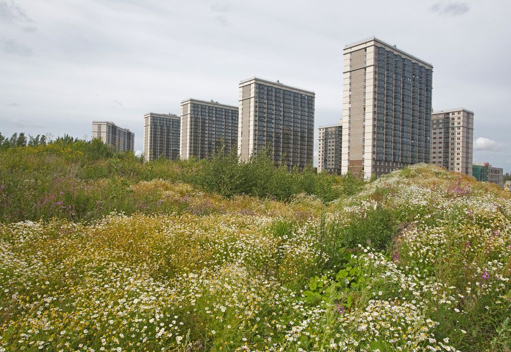 Photograph by Наталья Иванова