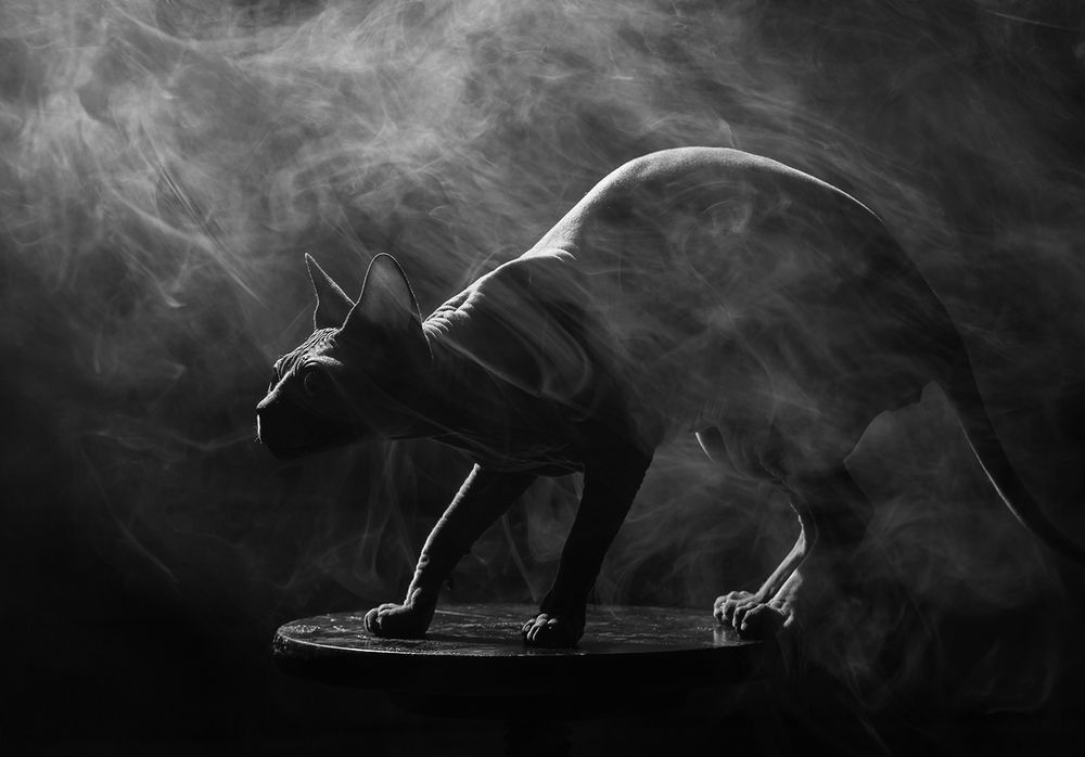 Photograph by Alexander Sviridov