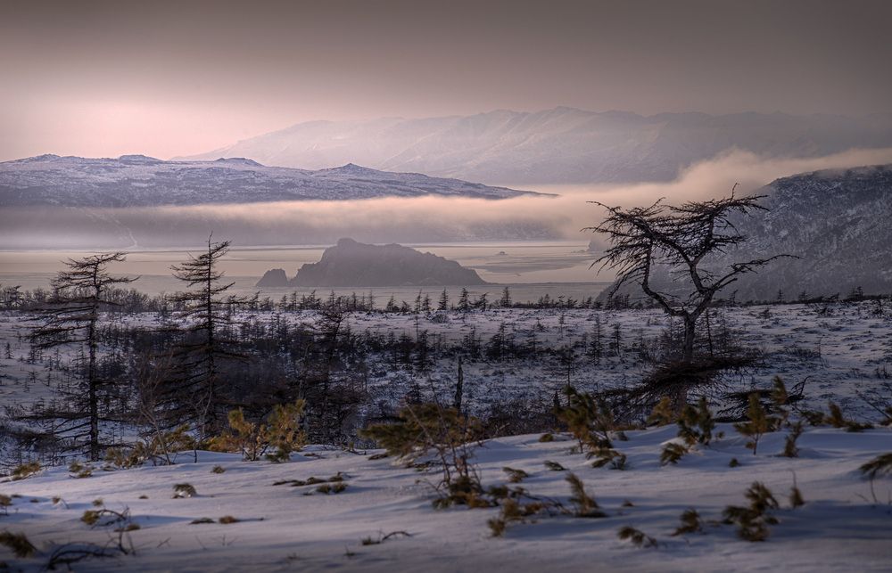 Photograph by Светлана Гореликова